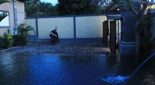 Menjangan Sari image 19